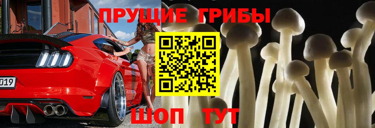 Сочи  Галлюциногенные грибы мухоморы  Вход с VPN  Галлюциногенные грибы мицелий 
