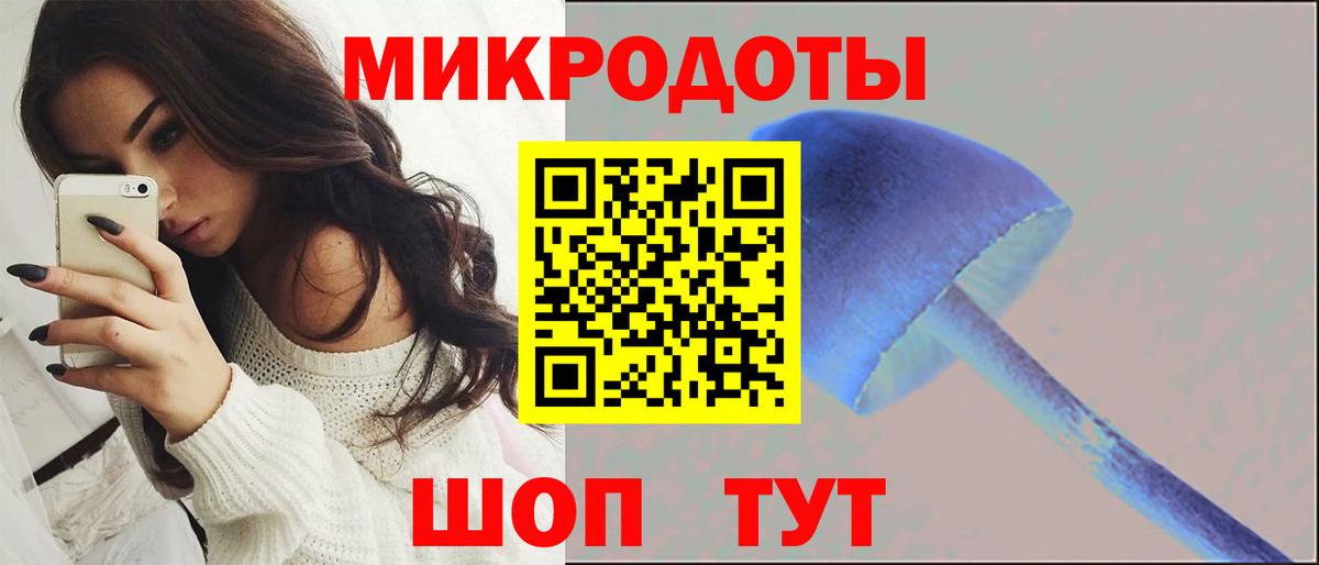 Псилоцибиновые грибы мухоморы Сочи